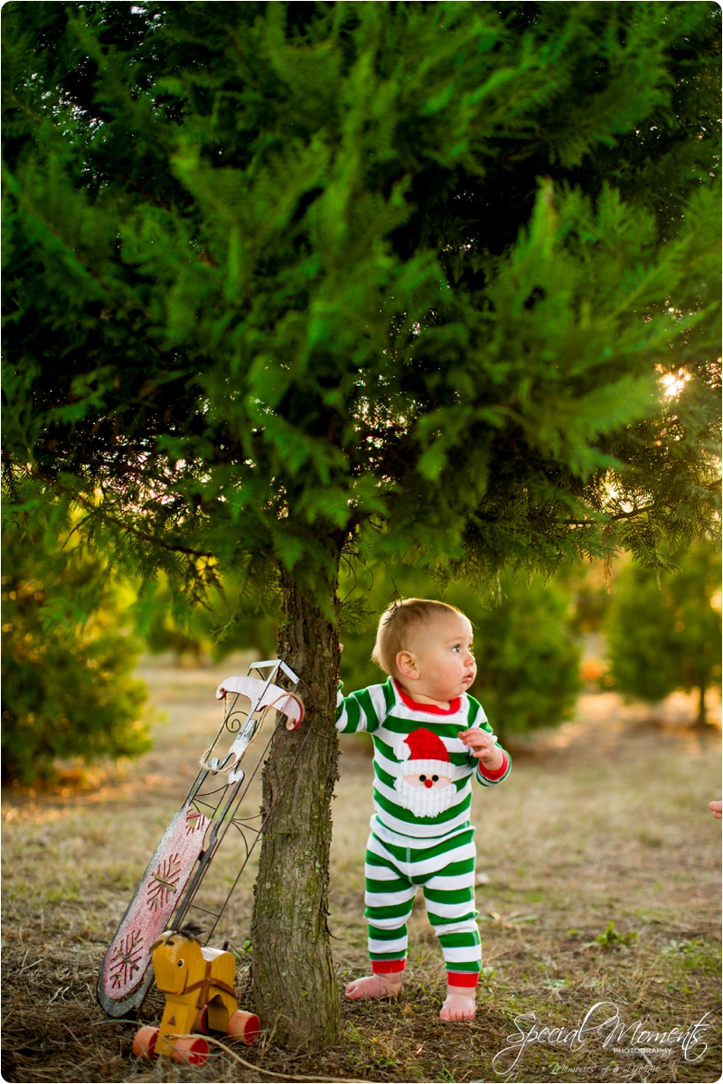 fort smith arkansas photographer, christmas tree farm pictures, christmas pictures_0189